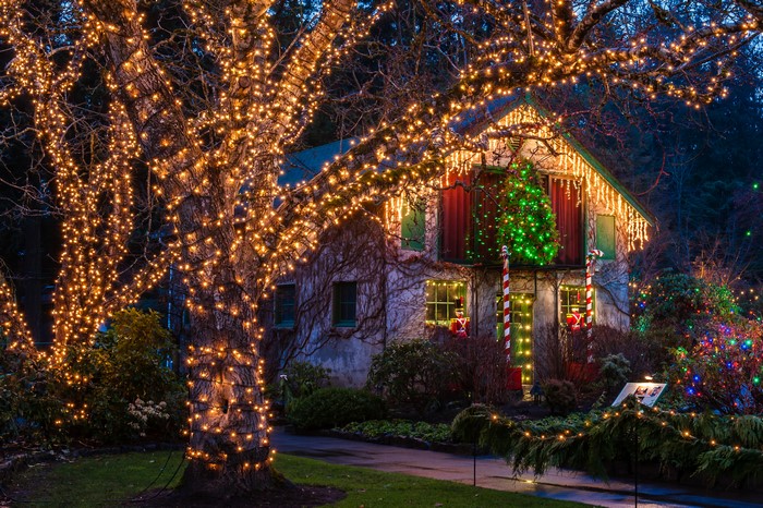 Butchart Gardens Christmas lights on house and trees