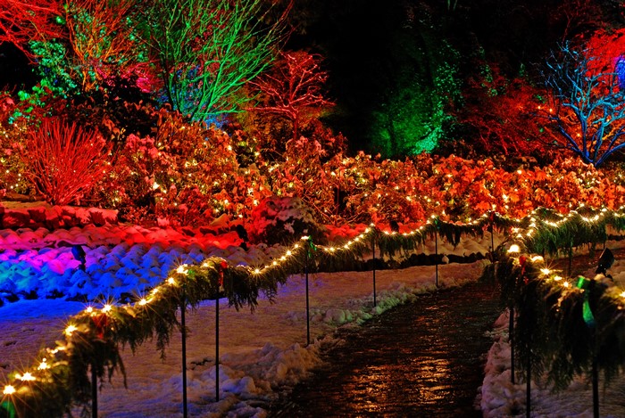 Butchart Gardens Christmas lights in snow at night