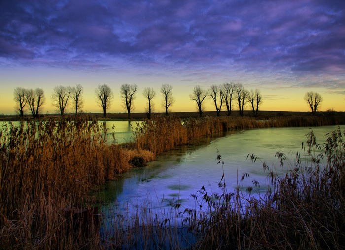 4K River with Trees and Grass at Dusk