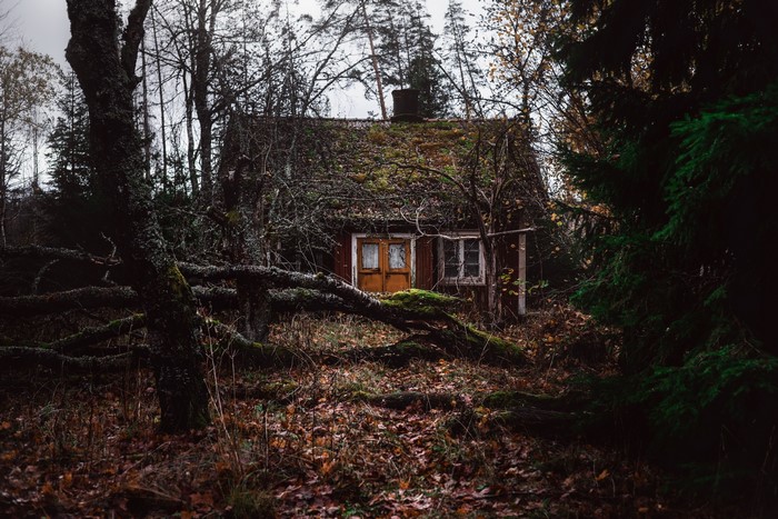 Abandoned house in a dark forest