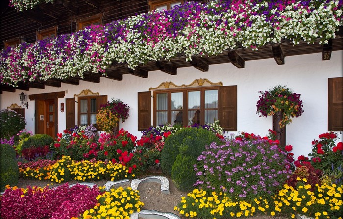 Bavarian House with Abundant Flower Boxes and Garden