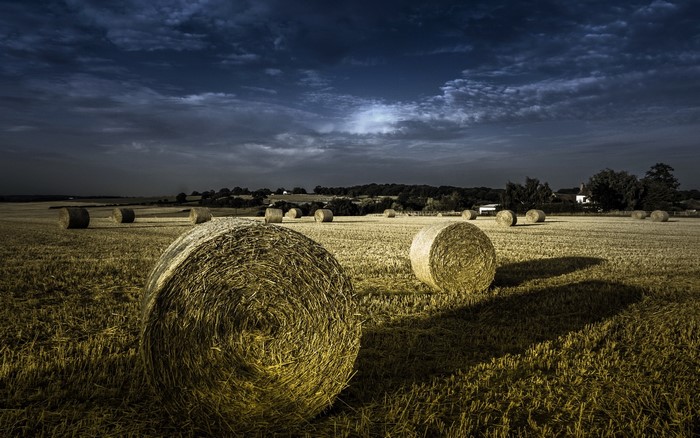Hay bales in a field under a dark sky