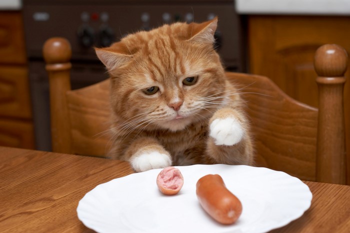 Ginger cat looking at sausages on a plate
