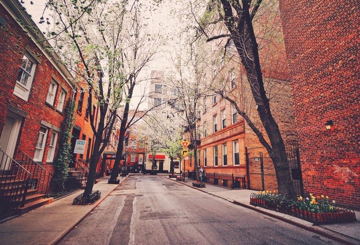 Street in New York City with brick houses and trees