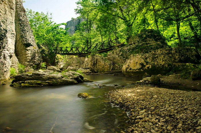 Wooden bridge over a river in a forest near Veliko Tarnovo, Bulgaria
