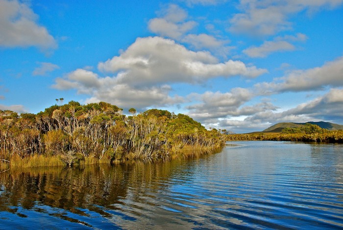 Lake and forest under a cloudy blue sky
