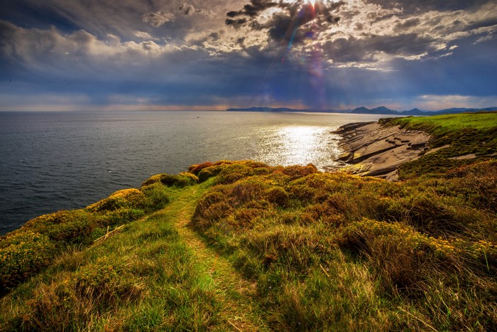 4K Scenery of a River Coast with Clouds and Grass