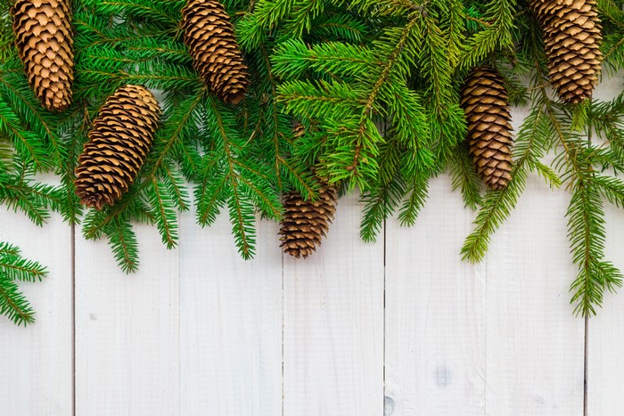 Christmas branches with pine cones on white wood
