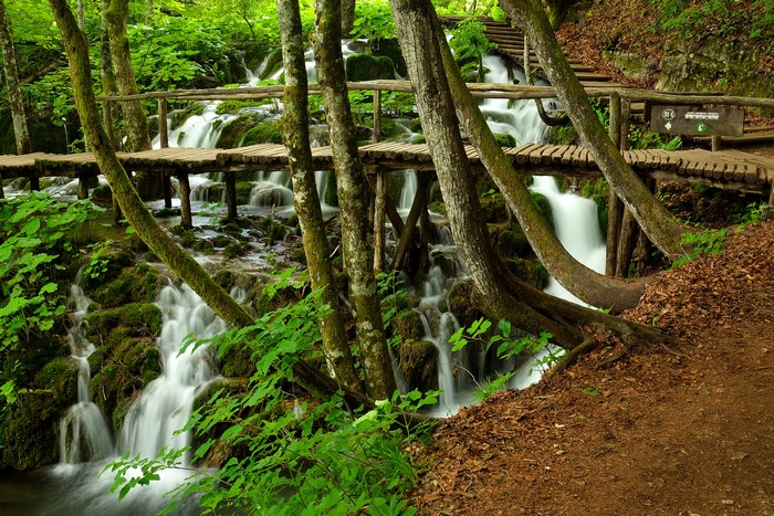 Wooden bridges over waterfalls in a forest