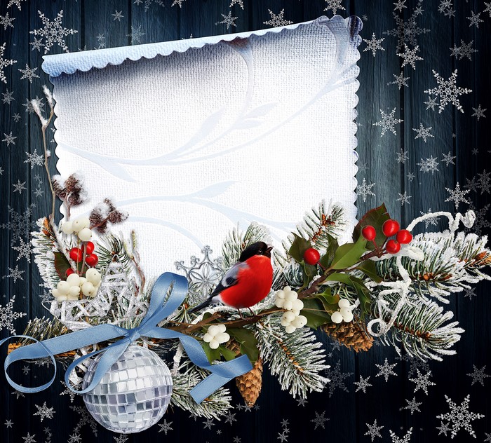 Christmas greeting card with bullfinch and pine branches