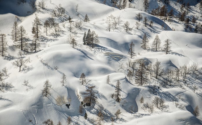 Winter snow-covered landscape with trees