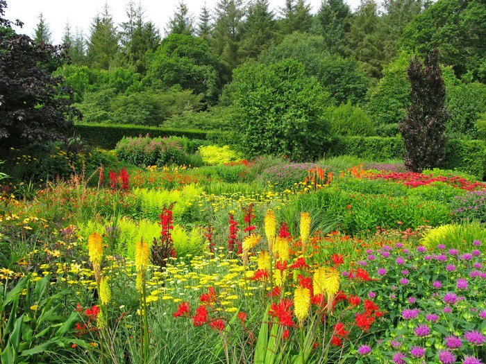 Colorful flower garden with trees in Devon, United Kingdom