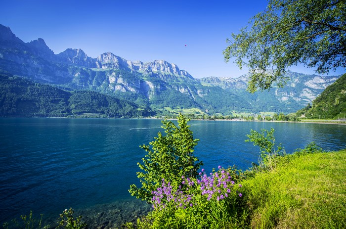 4K Lake Walensee Switzerland Mountains Scenery