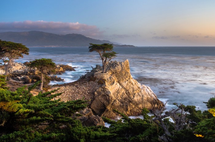 Lone Cypress Tree on Rocky Coastline at Pebble Beach, California