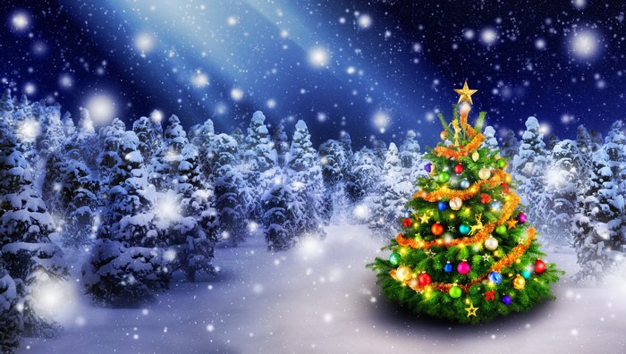 Christmas tree in a snowy forest at night