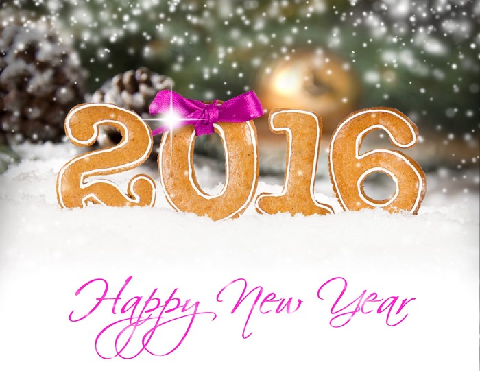 Happy New Year 2016 Gingerbread Cookies