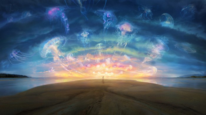 Jellyfish in the sky over a beach at sunset