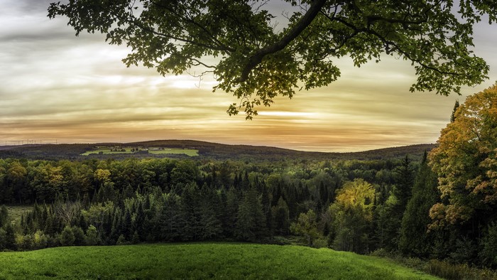 Forest landscape in Quebec, Canada with rolling hills and a cloudy sky