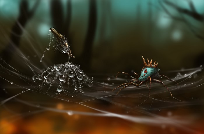 Spider on a web with water drops