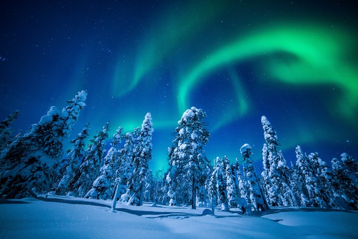 Aurora Borealis over snow-covered trees in Lapland, Finland