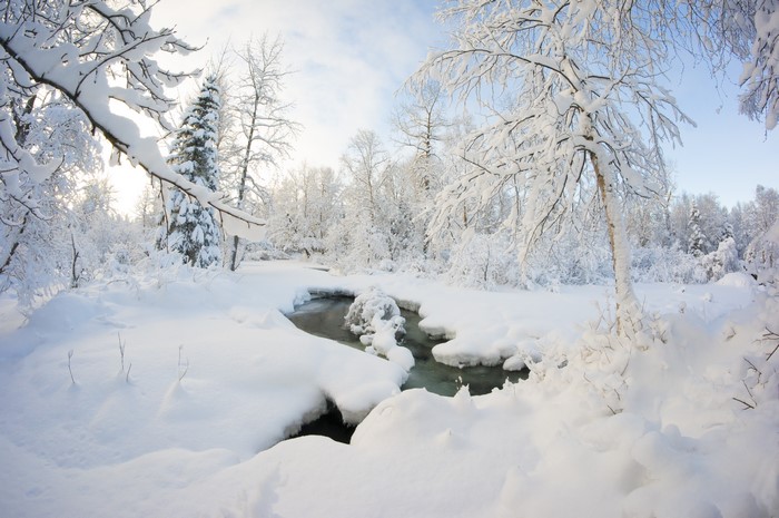 4K Winter Snow Stream