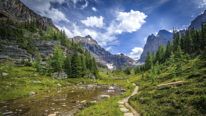 Mountain Valley with Stream and Trail in Banff National Park