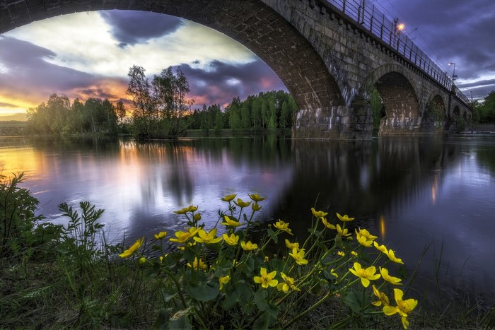 Stone bridge over river at sunset with yellow flowers