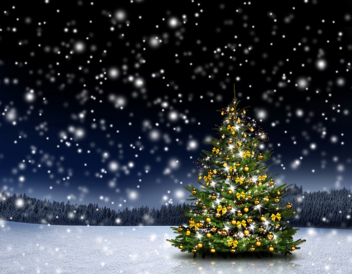 Christmas tree in a snowy forest at night
