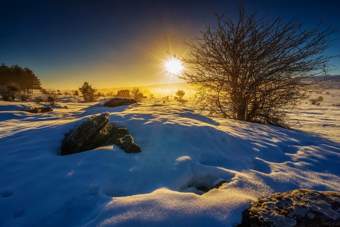 Winter sunrise over a snowy landscape with bare tree
