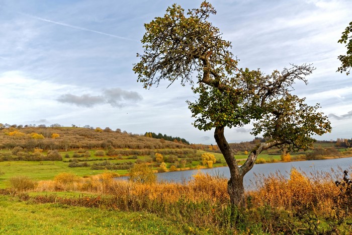 Autumn landscape with lake and trees in Schalkenmehren, Germany