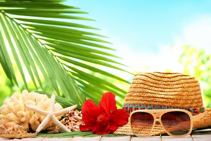 Summer Beach Accessories with Palm Leaf and Sky