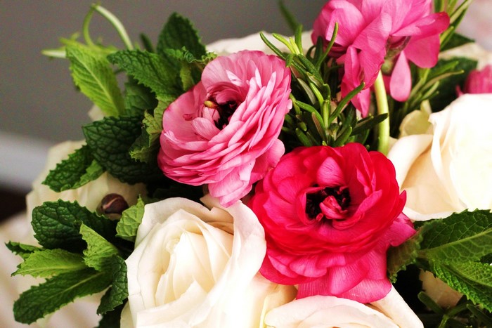 Pink and white ranunculus flowers with mint leaves