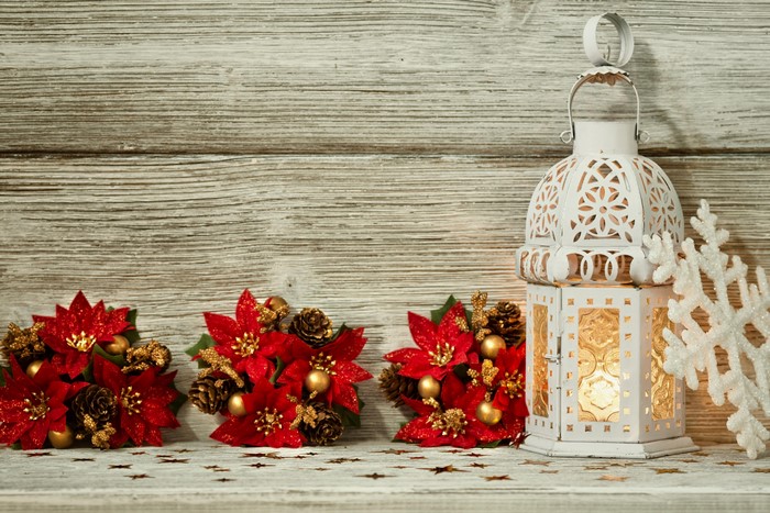 Christmas lantern with poinsettias and snowflakes