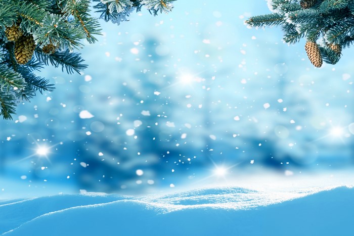 Winter scene with pine cones and snow