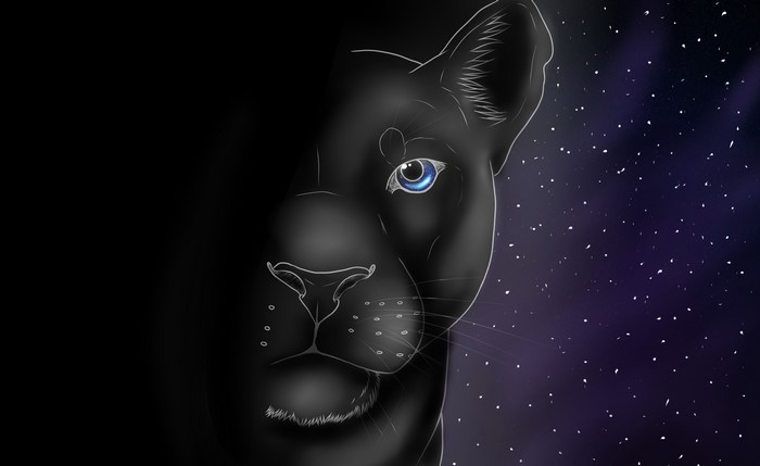 Black Panther with Blue Eyes in Starry Night