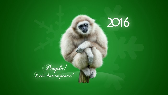 Gibbon monkey with 2016 text and snowflakes