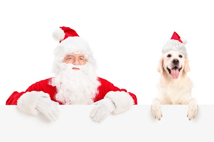 Santa Claus and Golden Retriever with Santa Hats