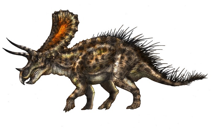 Triceratops dinosaur with horns and frill