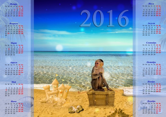 2016 Calendar with Monkey on Beach