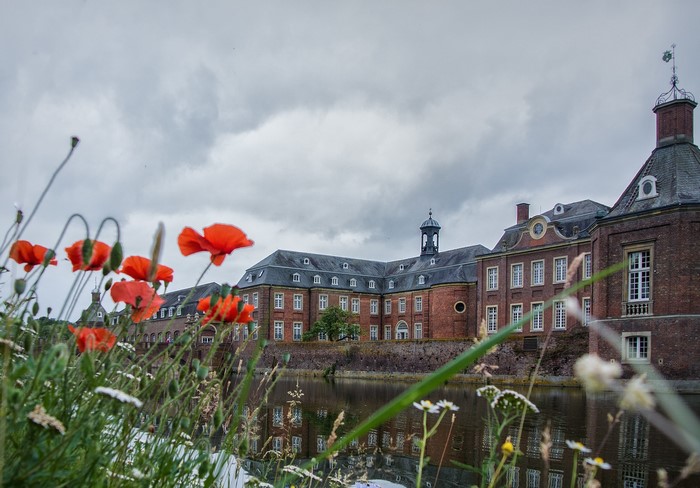 Red Poppies in front of a historic brick building by a river