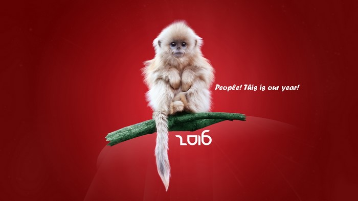Monkey sitting on a branch with 2016 text