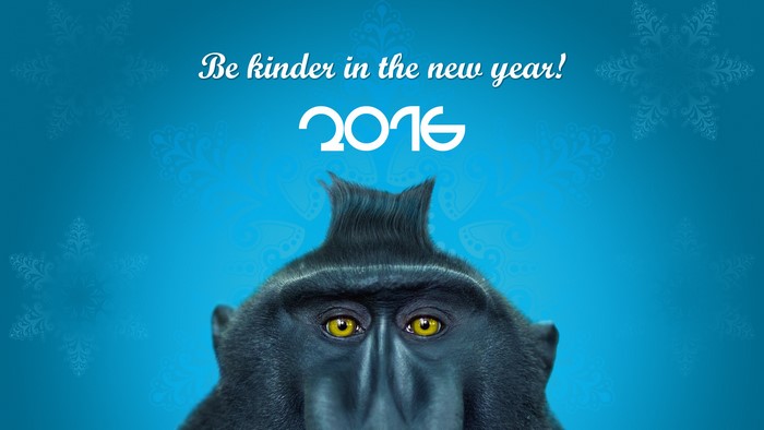 Monkey with 2016 New Year's message