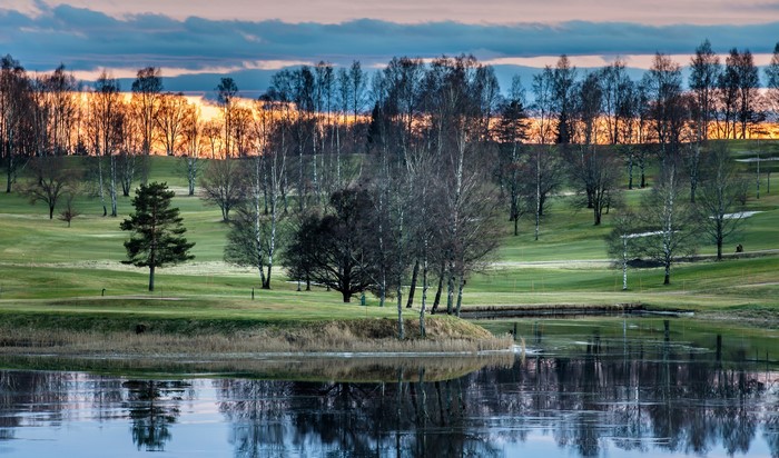 Trees reflected in a lake at sunset