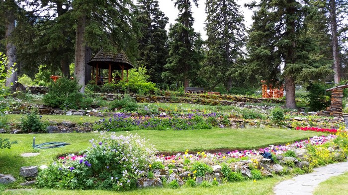 Cascade Gardens Banff Canada Trees Lawn