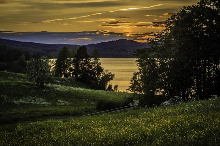Golden Sunset Over Peaceful Lake and Meadow 4K