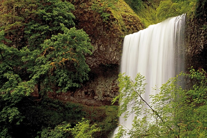 Silver Falls Oregon USA Waterfall Trees