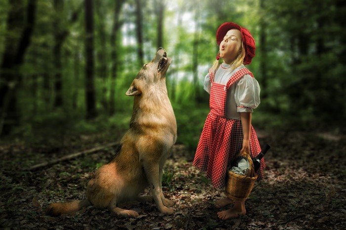 Little Red Riding Hood and Wolf in Forest