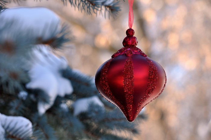 Red Christmas Ornament on Snowy Pine Tree