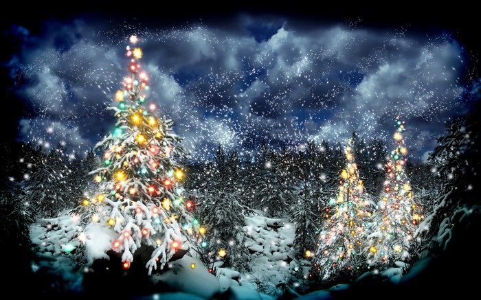 Christmas trees with fairy lights in a snowy forest at night