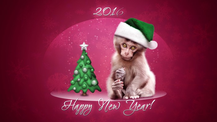 Monkey in Santa Hat with Christmas Tree 2016